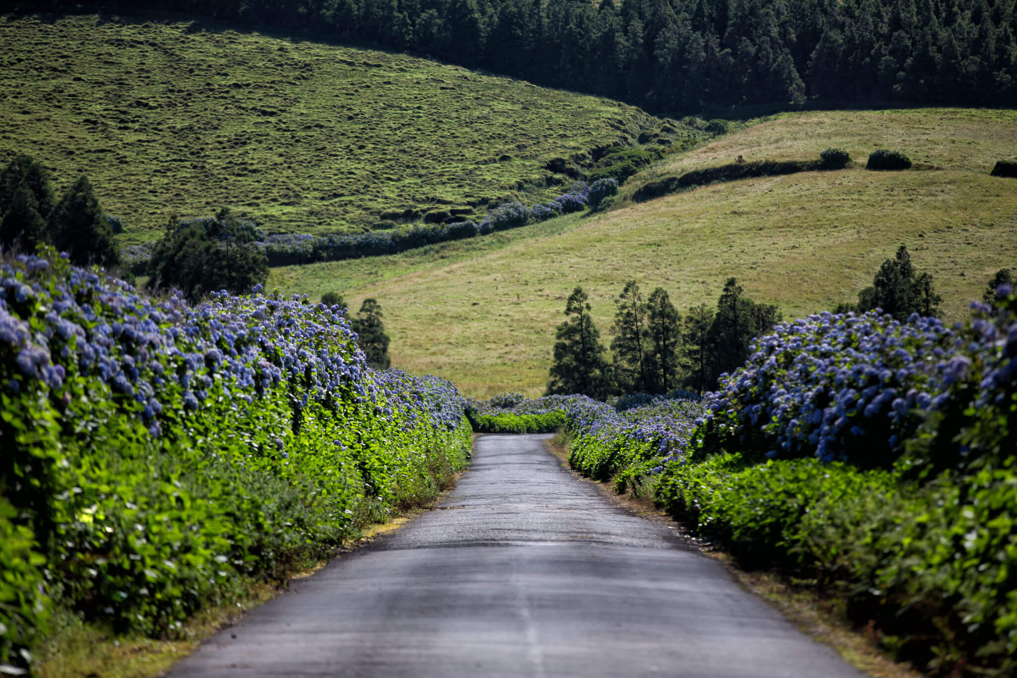 Tours en Voiture