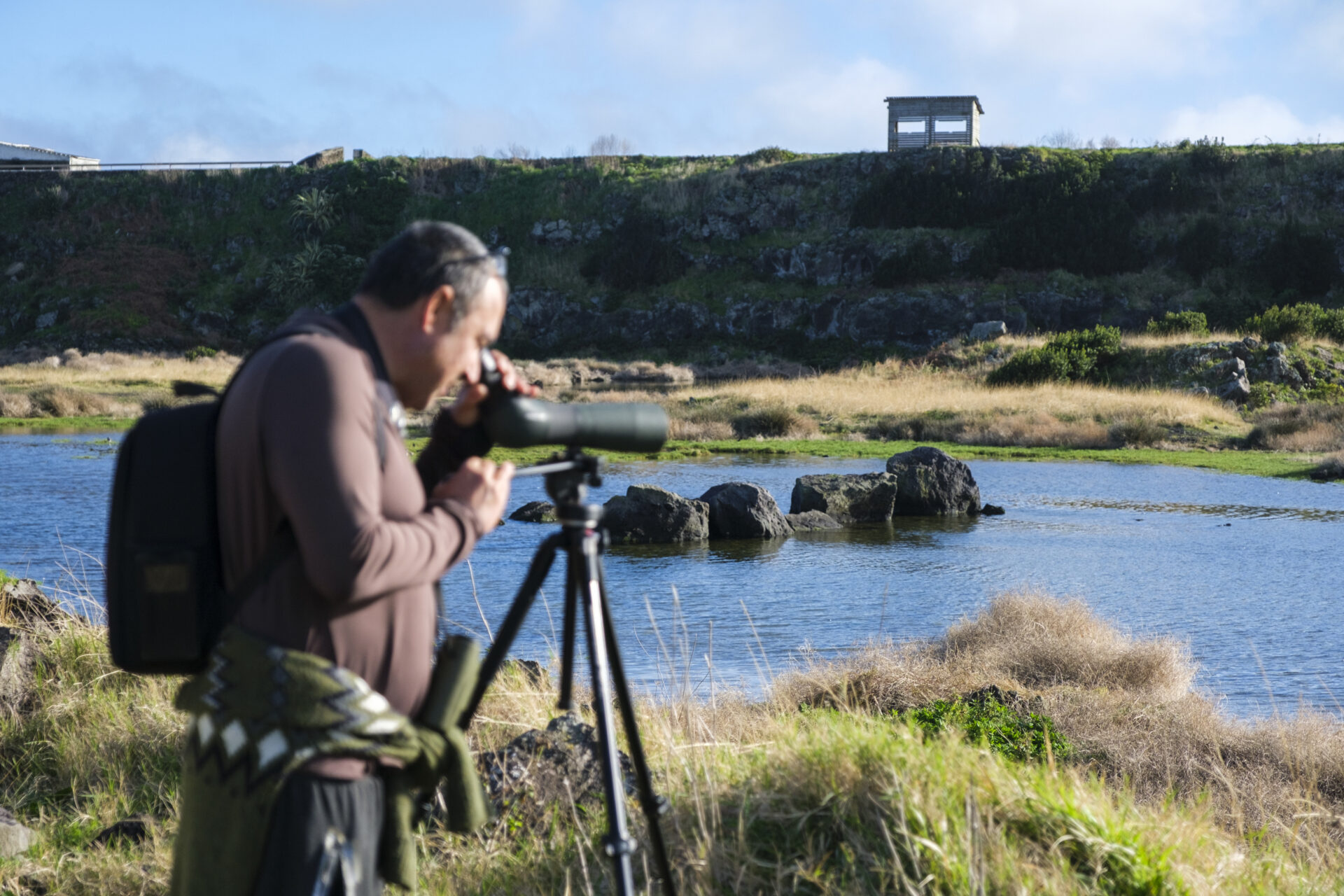 Observación de Aves