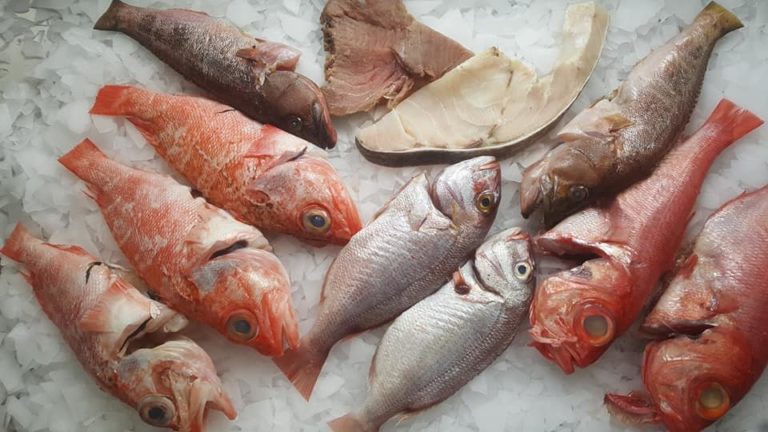 Peixe-Fresco