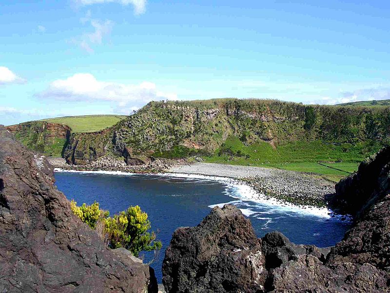Reserva_Natural_da_Alagoa_da_Fajãzinha_Erica_azorica_ilha_Terceira_Açores_Portugal