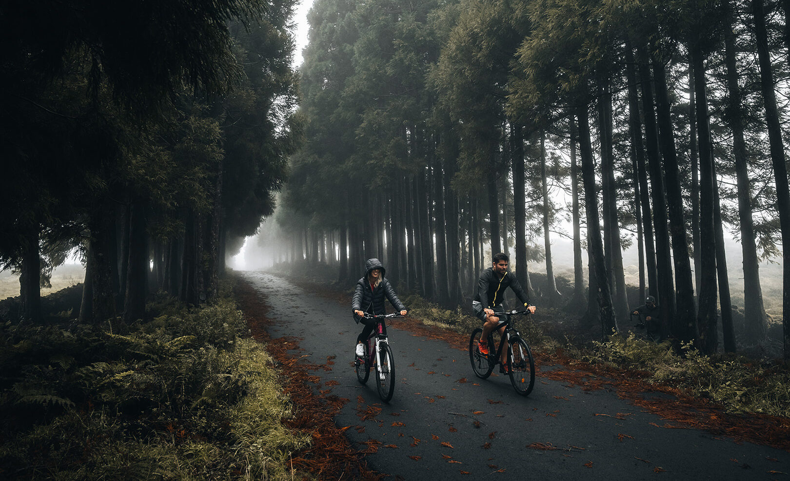 PASSEIOS BICICLETAS