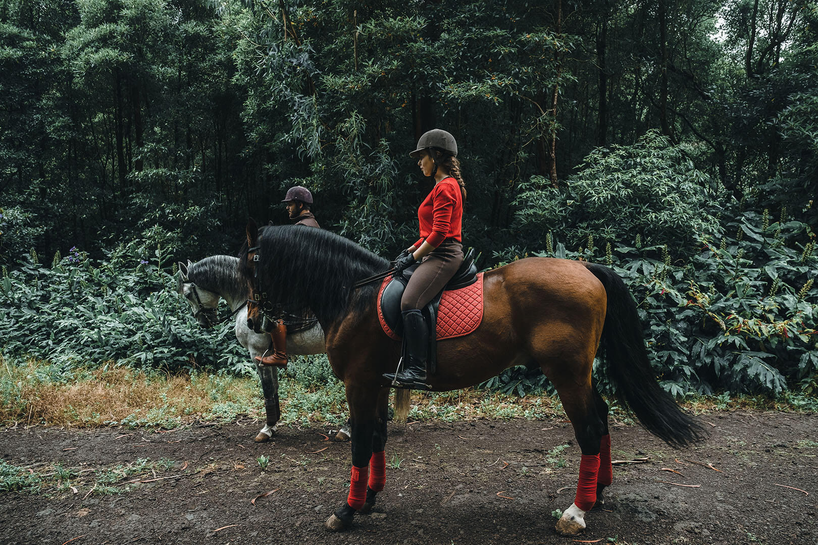 PASSEIO A CAVALO