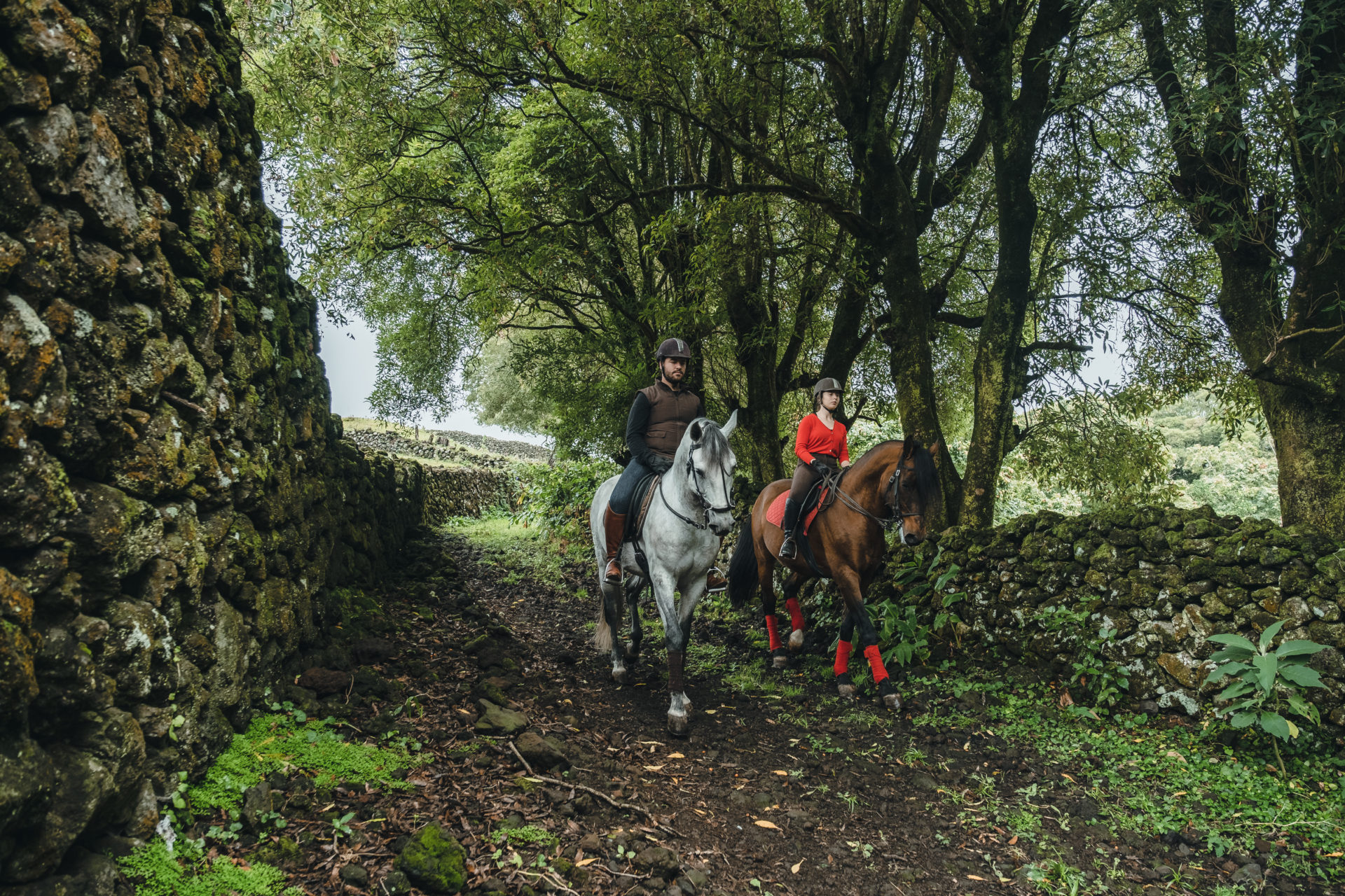 Promenades à cheval